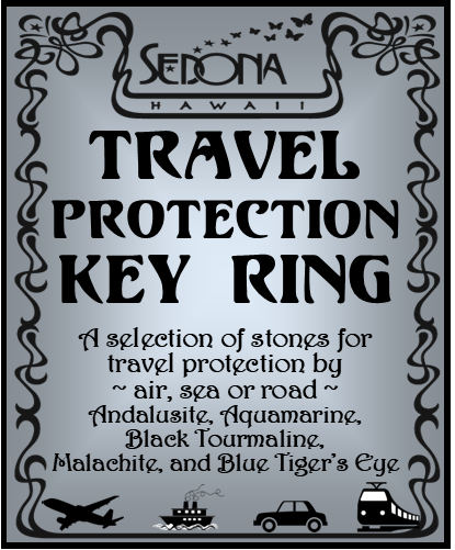 Travel Protection Key Ring