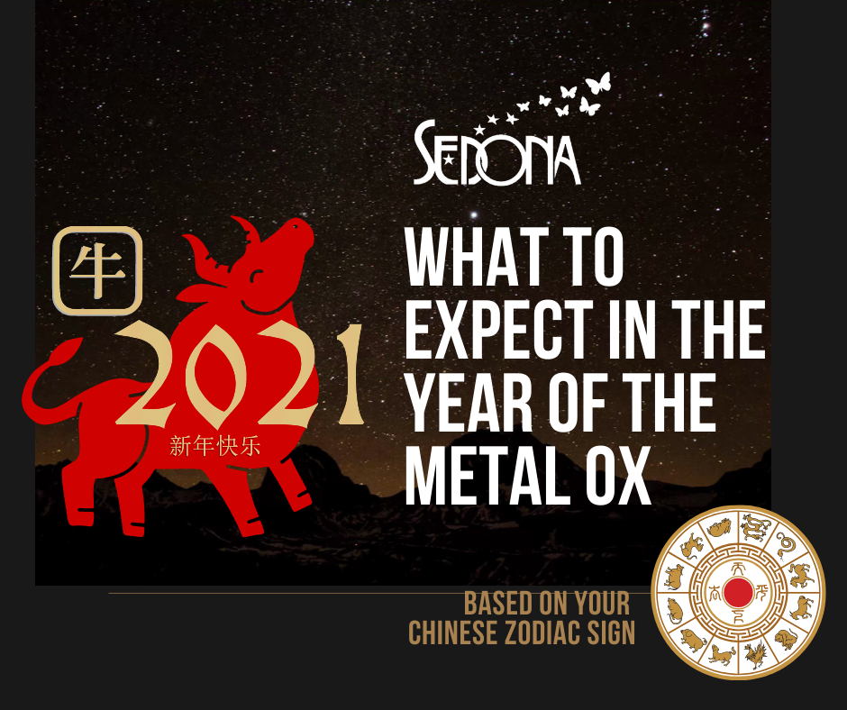 What to Expect in 2021 the Year of the Metal Ox - Based on Your Zodiac Sign