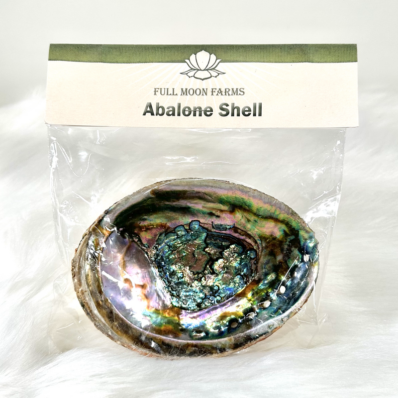 Abalone Shell