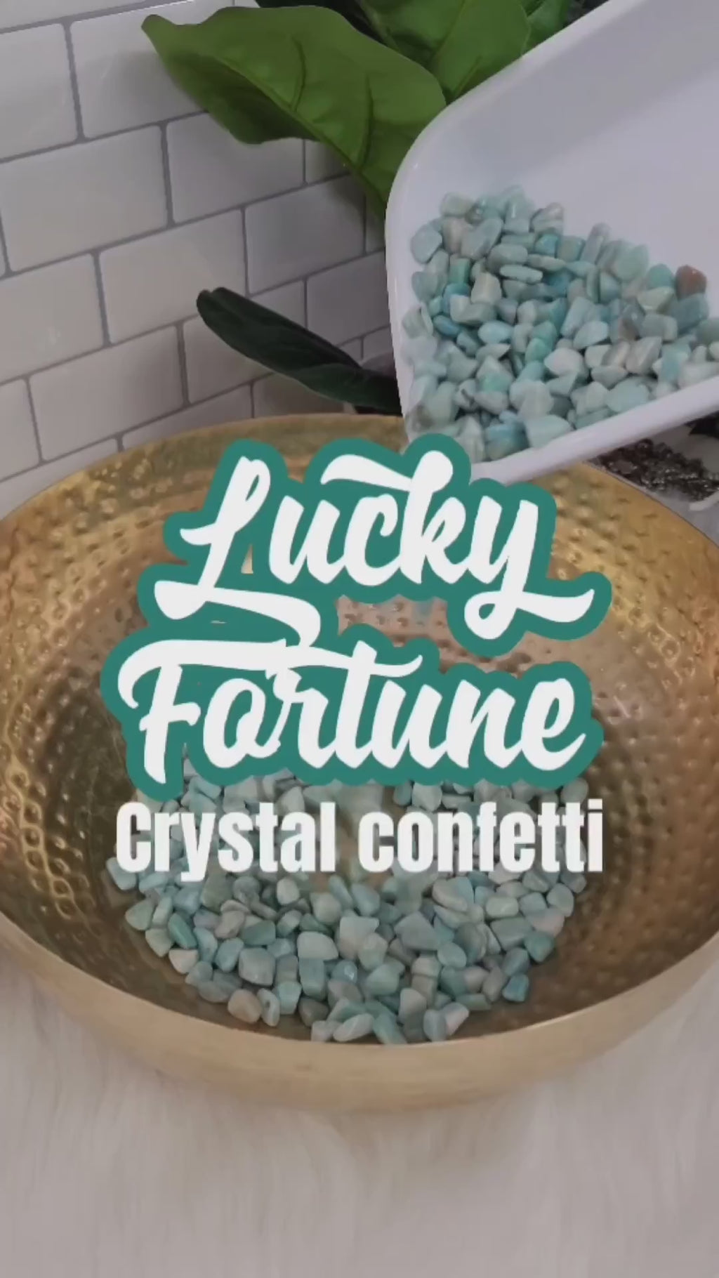 Lucky Fortune ( 1 ) Crystal Confetti Scoop!